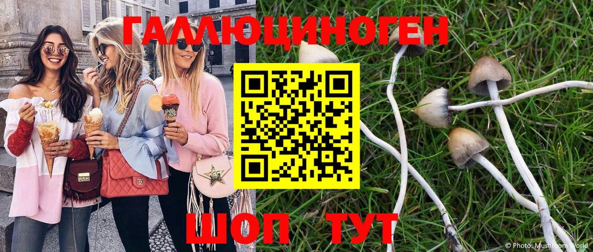 Псилоцибиновые грибы ЛСД Урай